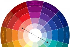 Combination of colors in clothes according to the color wheel